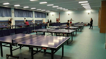 羽乒馆