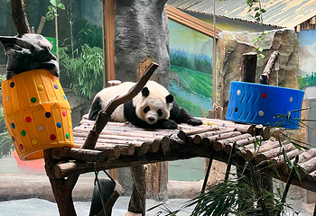 西宁野生动物园第 32 张图片