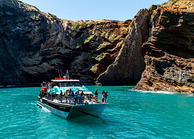 黑猫号游艇观海豚之旅