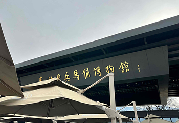 秦始皇帝陵博物院(兵马俑)第 362 张图片