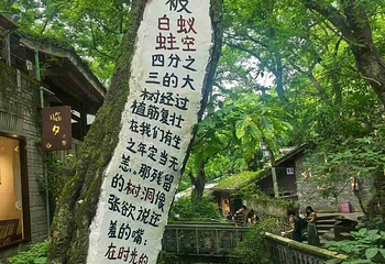 金刚碑·温泉老村第 22 张图片