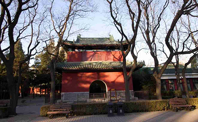日坛公园第 78 张图片