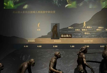 三峡博物馆第 161 张图片