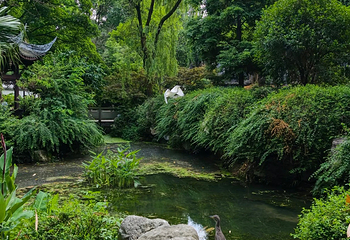 浣花溪公园第 70 张图片