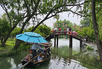 西溪国家湿地公园第 164 张图片