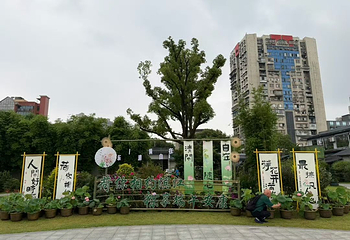 滨江公园第 105 张图片
