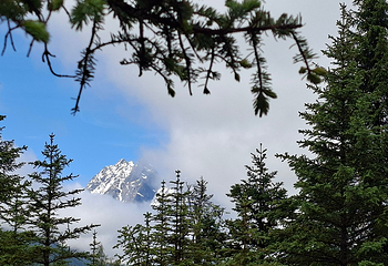 四姑娘山景区第 106 张图片