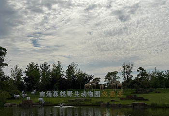 南通森林野生动物园第 216 张图片