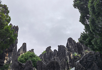 石林风景区第 151 张图片