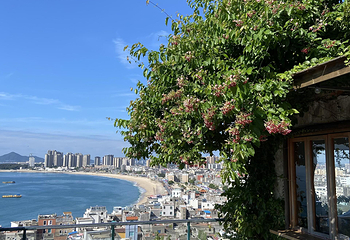 东山岛第 173 张图片