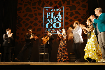 塞维利亚Teatro Flamenco Sevilla弗拉明戈剧院第 18 张图片