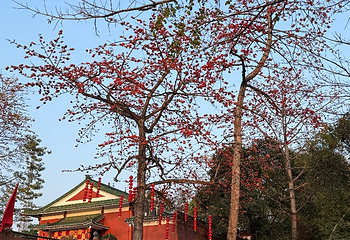 越秀公园第 176 张图片