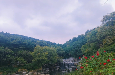 北京西山国家森林公园第 24 张图片