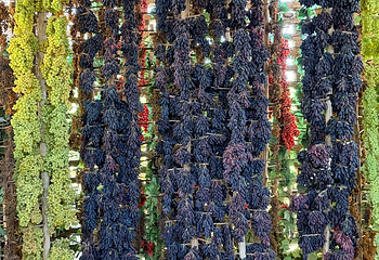葡萄沟第 93 张图片