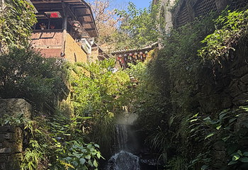 婺源篁岭景区第 410 张图片