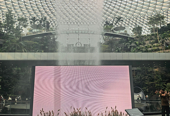 星耀樟宜第 244 张图片