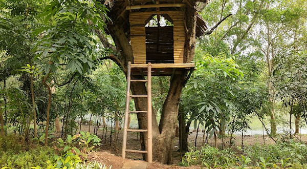 雅加达红树林公园