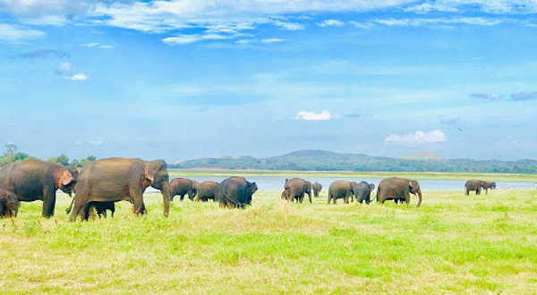 Hiriwadunna Village & JEEP SAFARI No 4