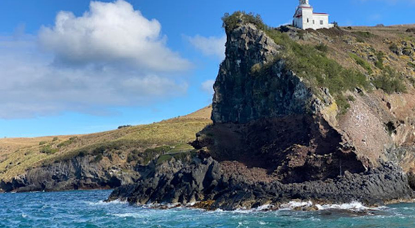 Taiaroa Head