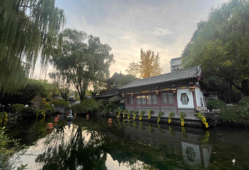 趵突泉景区第 197 张图片