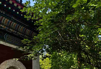 万寿寺第 37 张图片