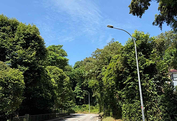 花柏山公园第 144 张图片