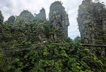 大瑶山盘王界景区第 55 张图片