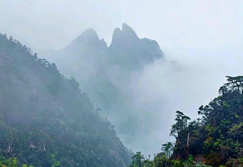 莽山旅游区国家森林公园第 84 张图片