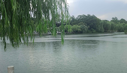 莫愁湖公园第 35 张图片