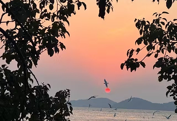 太湖第 15 张图片