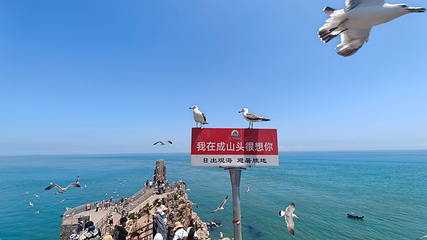 成山头风景名胜区第 59 张图片