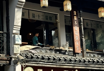 南宋御街第 102 张图片