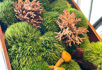 滟设火锅料理(南滨路店)第 16 张图片