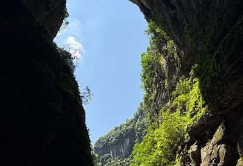 武隆天生三桥第 95 张图片