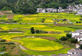 万峰林景区第 63 张图片