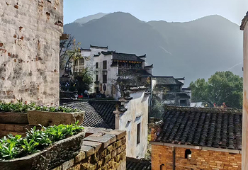 婺源篁岭景区第 320 张图片
