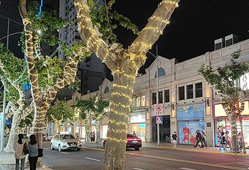 淮海路第 66 张图片