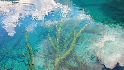 九寨沟风景区第 582 张图片