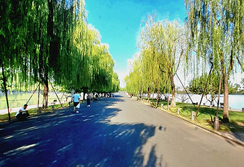 西湖观光游览车第 49 张图片