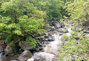 神农架风景区第 188 张图片