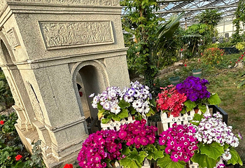南宫旅游休闲度假区第 95 张图片