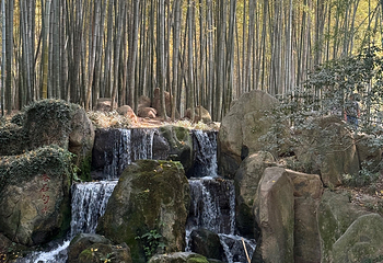 虎丘山风景名胜区第 279 张图片