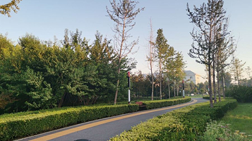 任丘市张华绿色公园