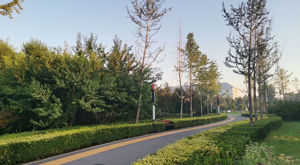 任丘市张华绿色公园