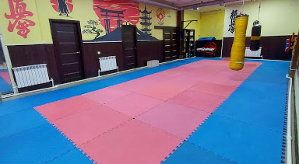 Tsentr Karate Kekushinkay