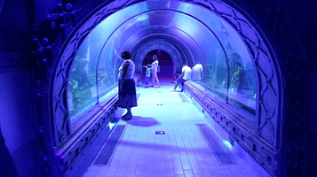 古尔代盖水族馆