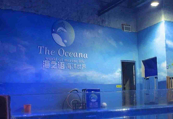 海之语海洋世界第 55 张图片