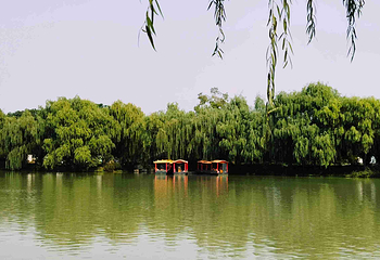 瘦西湖第 206 张图片