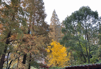 五泄风景区第 15 张图片