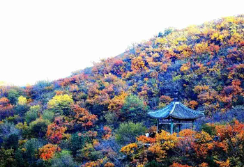香山公园第 50 张图片